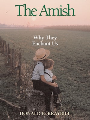 Book image of Amish Why They Enchant Us