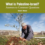 What is Palestine-Israel?