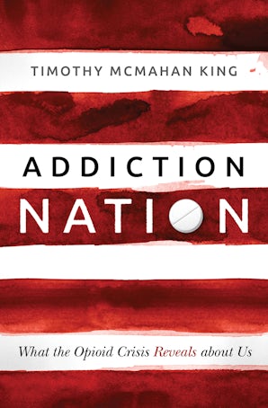 Book image of Addiction Nation