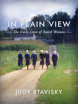 Book image of In Plain View